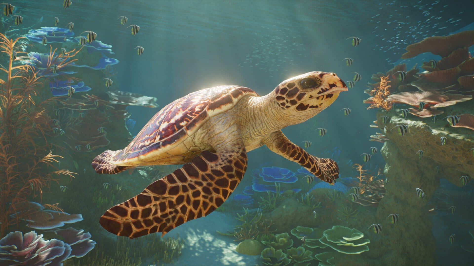 Planet Zoo 2 : tortue dans un aquarium, nouvelles espèces aquatiques